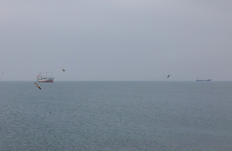dtsoc2crane2j9qwdbw7vgw19kgv9w2g