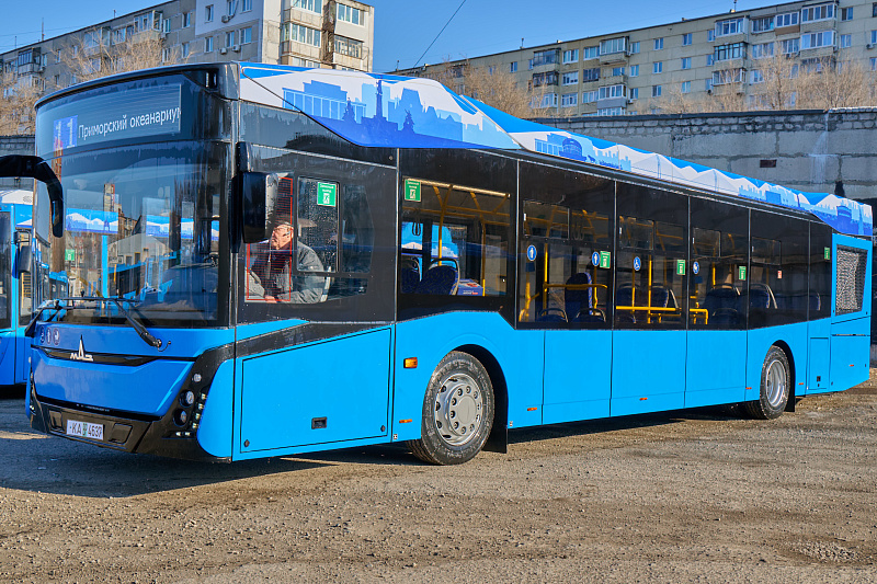 dorozhnye raboty 