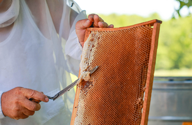 tlawg6aonlhleiukcq253cm3efth2581