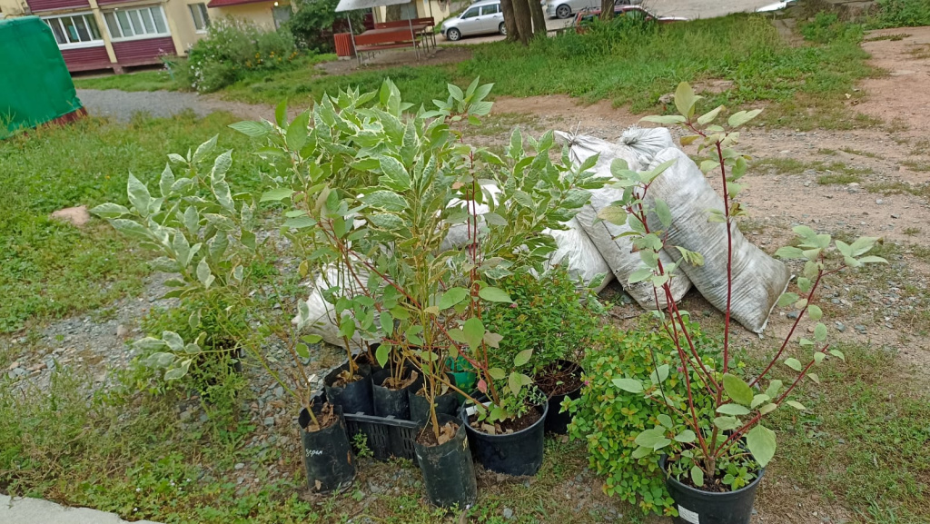 WhatsApp Image 2025 09 15 at 15.20.04