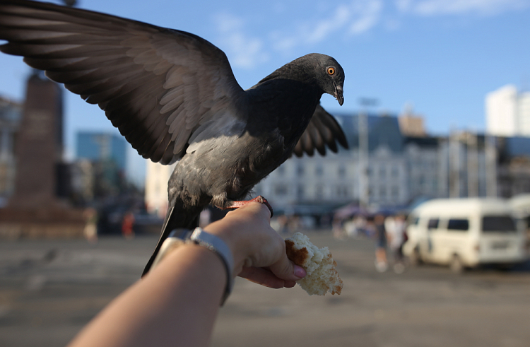 bmveqw8z7mkr87mmwsljvko5sgjrac9o