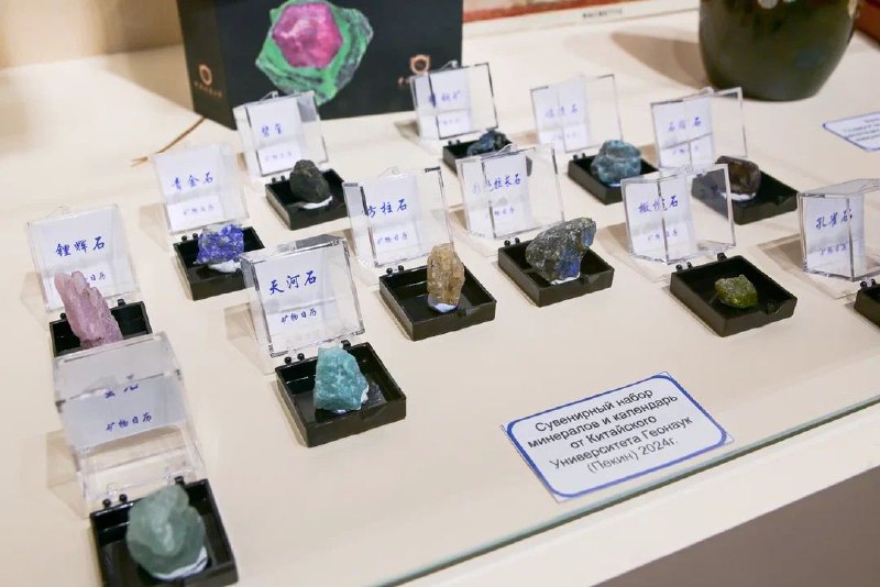 e9b0c3d135554be4ad2b74f557879055 2000 2000 195441