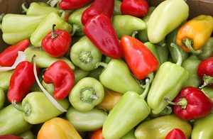 6eq6opz8jfqcwbos1luwi3f8je3vxkuv