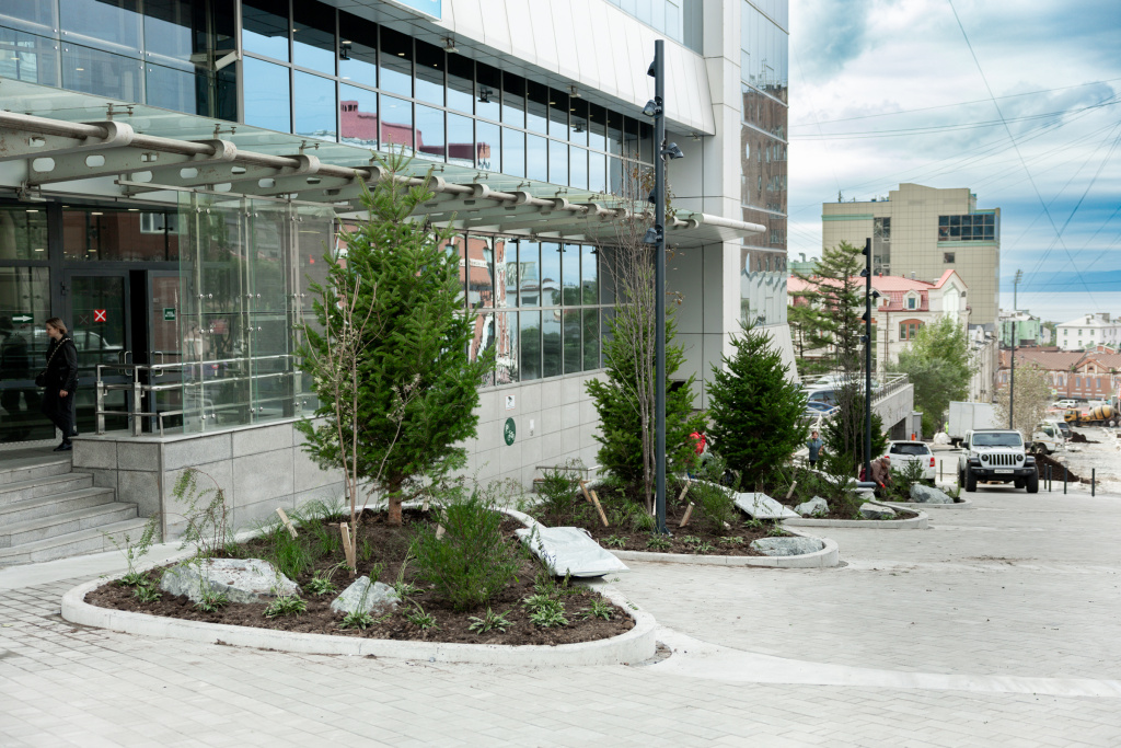 Na Mordovtseva provodyat raboty po ozeleneniyu 1 