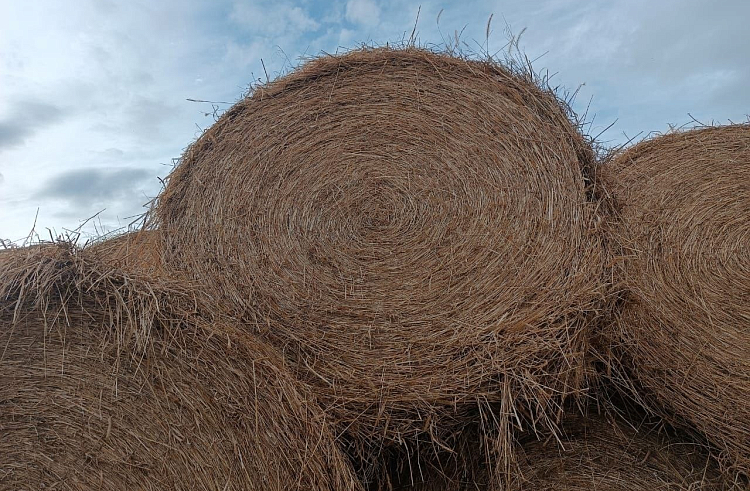 az1iq56w2ubogbbesh22wq3til28dk0b