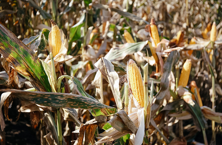 mw2jlzt44jeswppa7qo80cd3xkqqf1hp