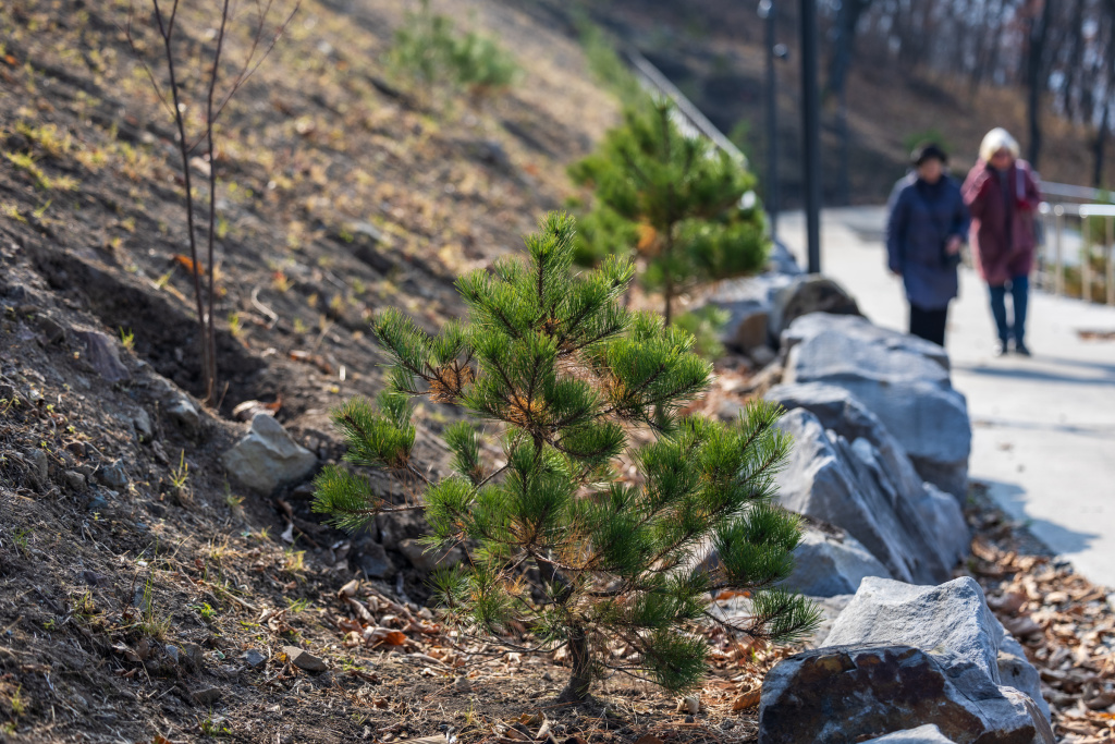 6 Noyabrya Rasteniya v parke Vatutina 26 10