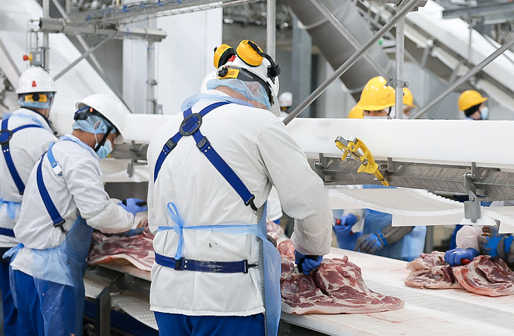 oi1wi9s901p9t2f0zo6o9d0lfz6p0krn