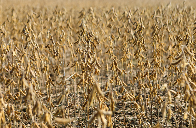 tp6uin31o15dyunpawdrjn37dx6ntvhd