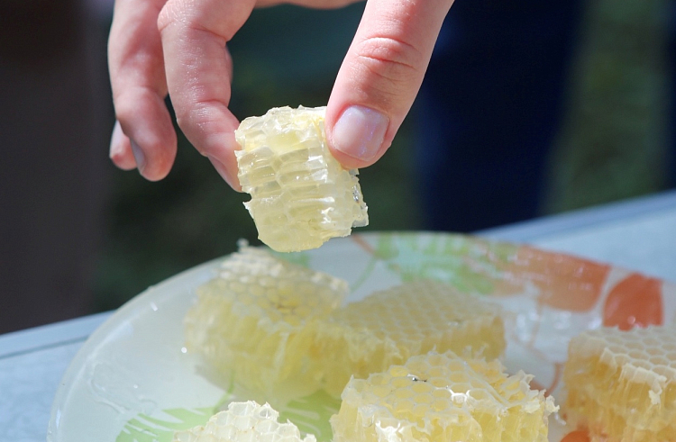 ulp1n1ovry9bf7iok4drt9lr78hn06pw