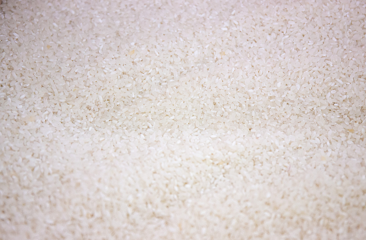 vmqz3303zkb9bwuwbq60r5slvr1gjg11