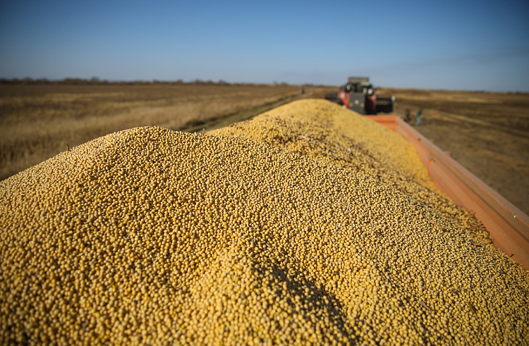 0mci7wrlkqizypze8fncyzyjuwna2bt9