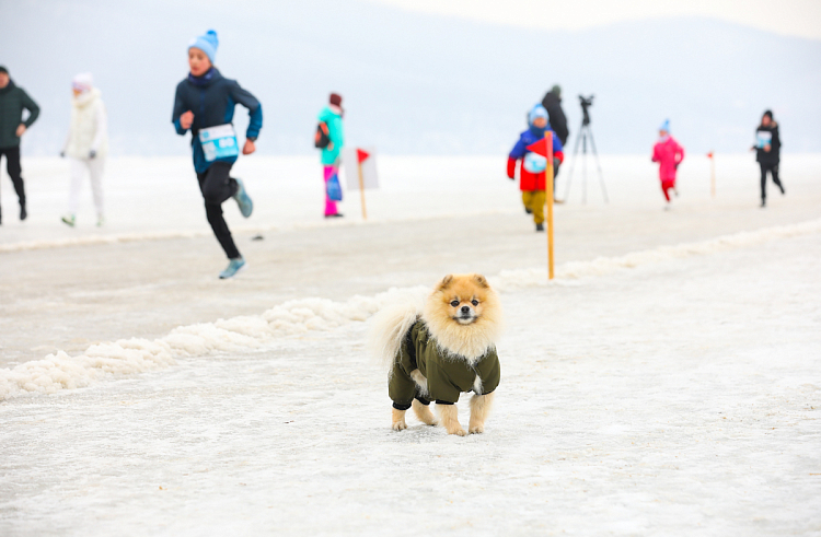 ev9mu00f3vvk04cau3cz40ve3ros5erx