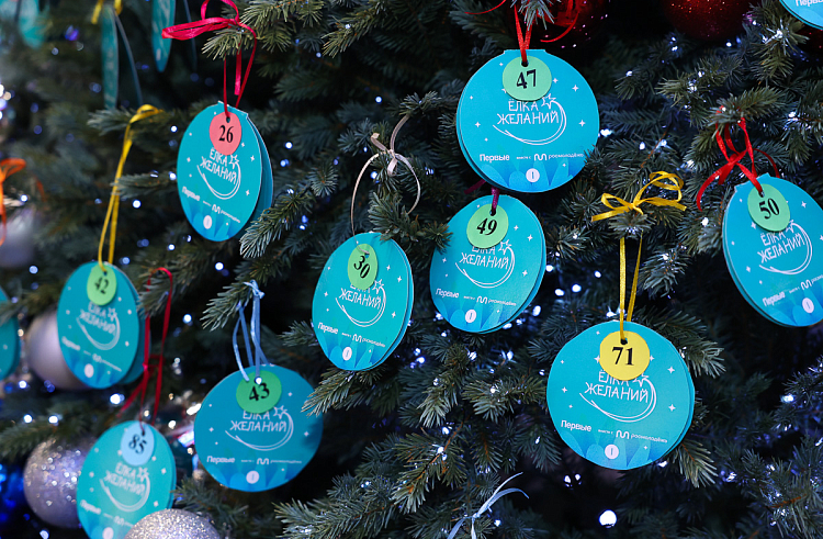 plr1ovx2d5kzwnnj0j3h4kkbryizl28j