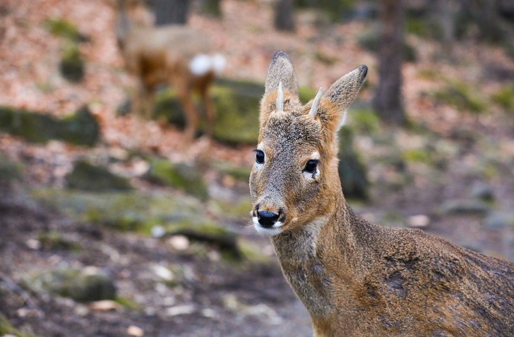 szrvsc3to4kf8hlhkwra5ip5q25kyypu