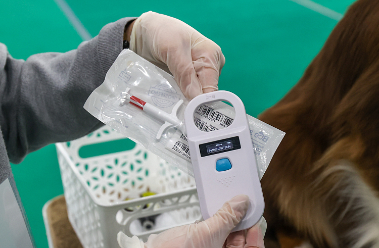 10cjxril6dqywc2o91vxpqb08ph82buy