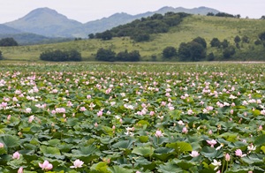 vjepo1yx8f8s50qq1wif3n8z560gid6m