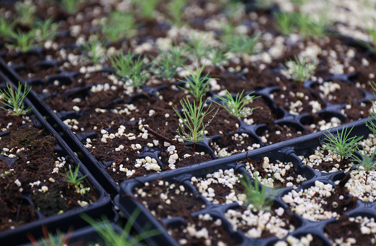 yia039byhtdhocnsrx1id6jxegoihu1i