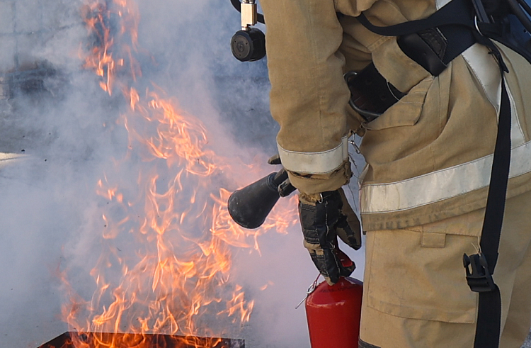Четыре природных и два лесных пожара потушили в Приморье за выходные