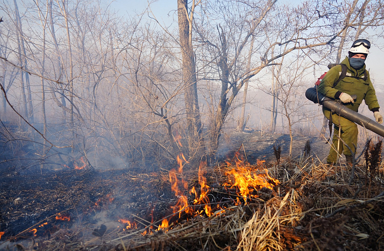 За сутки в Приморье потушено 26 пожаров, в которых виноват человек
