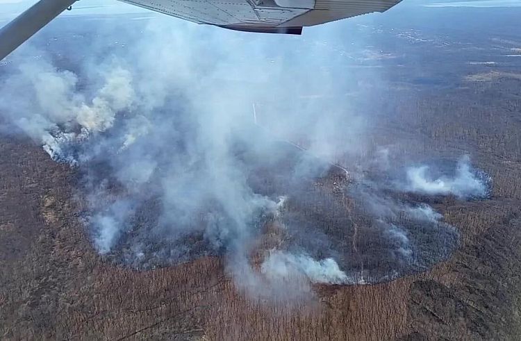 Летчики-наблюдатели выявили новые пожары в Приморье за прошедшие сутки