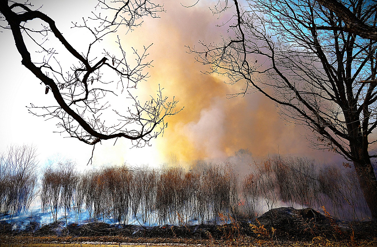 58 пожаров тушили в Приморье на прошедших выходных